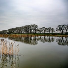 Stille im neuen Dordtse Biesbosch von Photobywim Willem Woudenberg