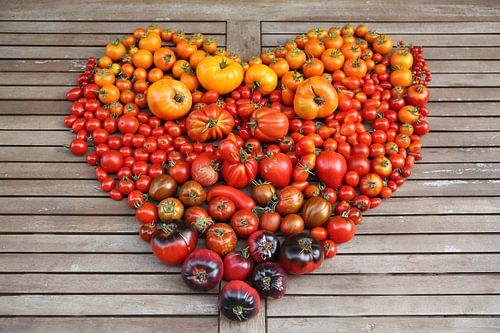 Many different tomatoes in the shape of a heart