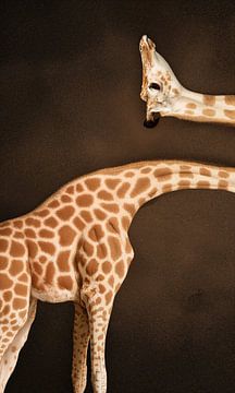 Pics that make your Brain Hurt sur Marja van den Hurk