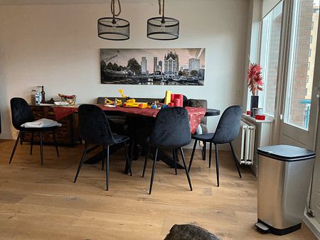 Der Alte Hafen in Rotterdam.