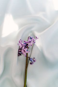 Zomerse bloem op lichtblauwe stof van An en Flor
