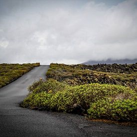 Vulkaanlandschap Lanzarote van SomethingEllis