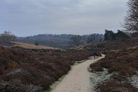Paysage à la Posbank