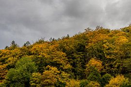 Herbstliche Entdeckungstour durch den Thüringer Wald von Oliver Hlavaty