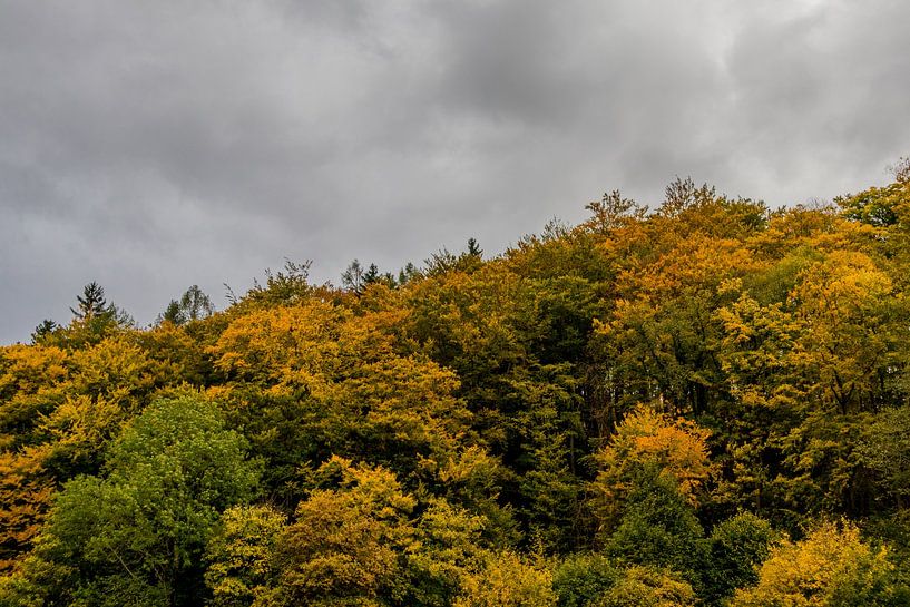 Herbstliche Entdeckungstour durch den Thüringer Wald von Oliver Hlavaty