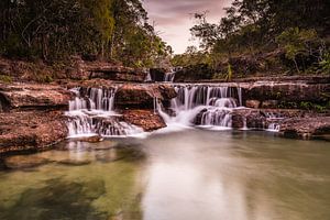 Eliot Twin Falls
