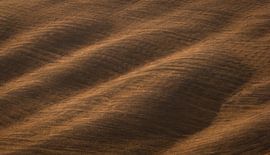 Undulating Tuscan fields by Evert Groenen