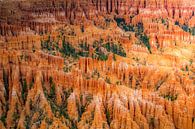 Bryce Canyon by Antwan Janssen thumbnail
