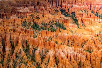 Bryce Canyon von Antwan Janssen
