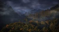 The splendour of the Ardennes by Maickel Dedeken thumbnail