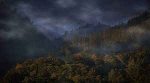 Die Pracht der Ardennen