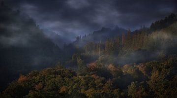 The splendour of the Ardennes by Maickel Dedeken