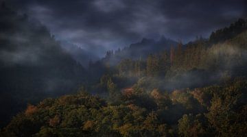 La splendeur des Ardennes sur Maickel Dedeken