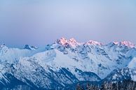 Alpengloren over de Allgäuer Alpen van Leo Schindzielorz thumbnail