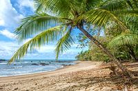 Beach in Corcovado NP in Costa Rica