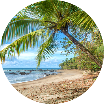 Strand in Corcovado NP in Costa Rica van Corno van den Berg