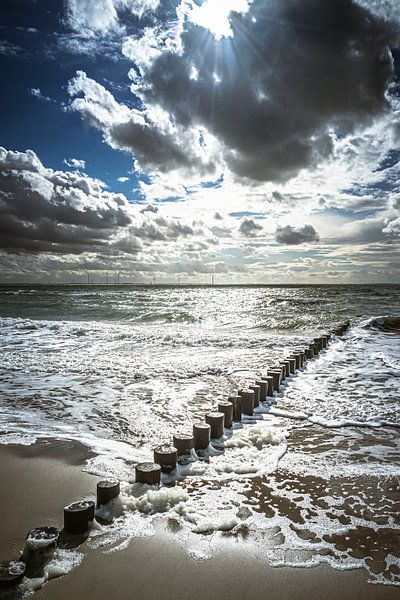 Plage près de Westenschouwen par Floris van Woudenberg