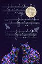Cat Love - Moonlight Sonata van Christine Nöhmeier thumbnail