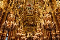 Hall impressionnant du Palais Garnier, Paris par Dana Schoenmaker Aperçu