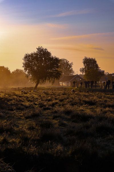 Nebliger Morgen von Nancy Overgaauw