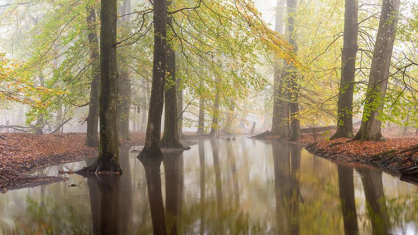 Leuvenumse beek in mist en herfst kleuren! van Peter Haastrecht, van