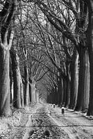 Zandweg in Aalten