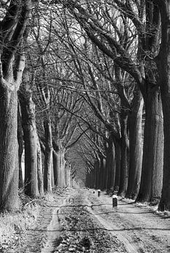 Zandweg in Aalten