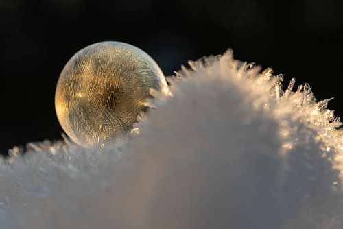 Bulle de savon gelée dans la neige