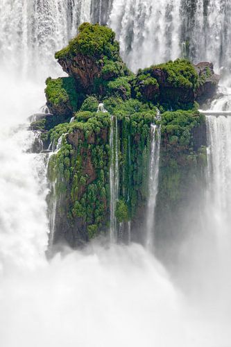 Die schwimmende Insel - Iguaçu, Argentinien