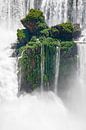 Die schwimmende Insel - Iguaçu, Argentinien von Erwin Blekkenhorst Miniaturansicht