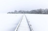 Winter wonderland von Jo Pixel Miniaturansicht