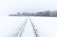 Winter wonderland