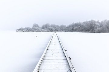 Winter wonderland by Jo Pixel