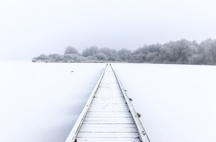 Winter wonderland von Jo Pixel