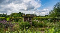 Insect hotel visitor centre De Wieden