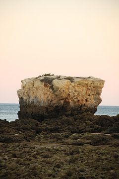 Felsen  von Leanne de Blok