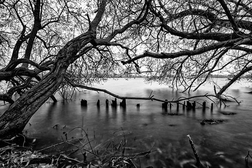 Verstild water