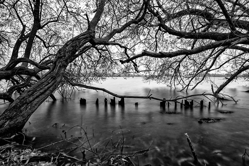 Verstild water van Peter Bartelings