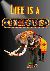Life is a circus olifant van Postergirls
