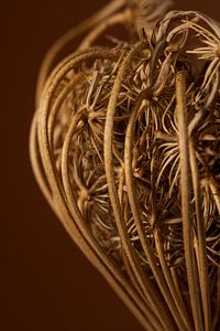 Warme Farben: Gefangen im Inneren