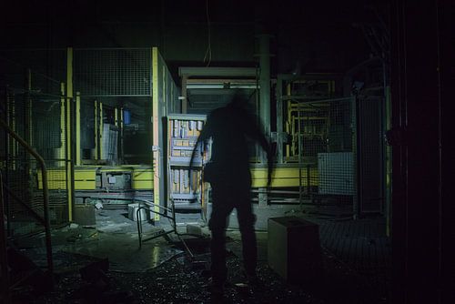 The Ghost and the Machine