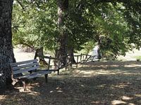 Bench in the shade