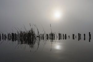 In den Nebel