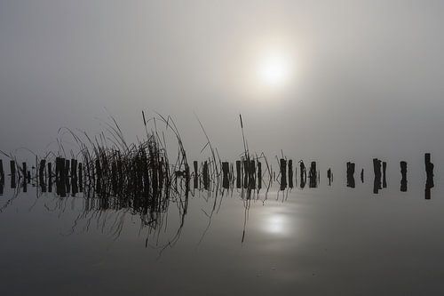 Into the mist