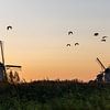 Mill with geese flying overhead by whmpictures .com