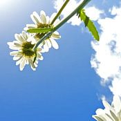 Marjolein Spakman Profile picture