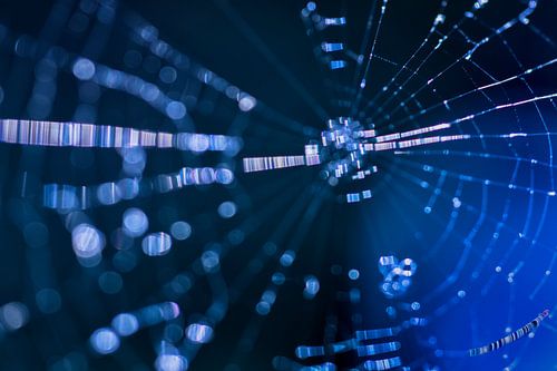 Macro Creatief spinnenweb met dauw in blauw