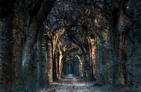 Kathedraal
