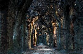 Kathedrale von Ronald van Dijk