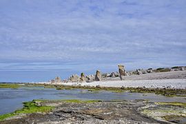 Langhammars by Karin Jähne